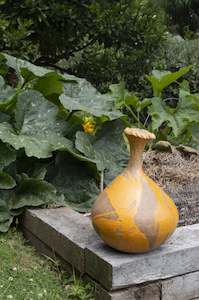 Sculpture On The Peninsula Finale Event: Random Attachment