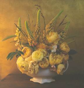 Abby Taylor: Still Life