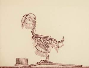 New Collectors: The Critic Smiles