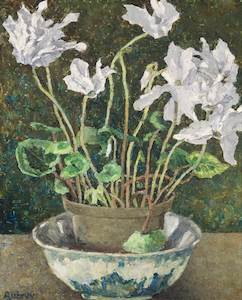 In Bloom: White Cyclamen