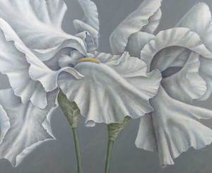 In Bloom: Irises