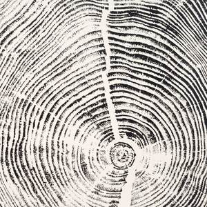 Frontpage: Milled Timber