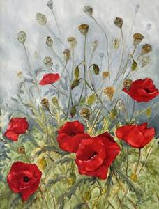 Frontpage: Red Poppies