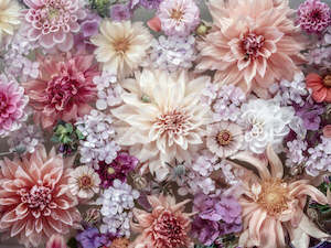 Greeting Cards: Dahlia In Pastel Notecard by Marina de Wit
