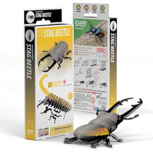 Diy Kits: 3D Cardboard Model Kit Stag Beetle
