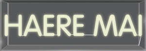 Led Lights: Haere Mai Neon Light
