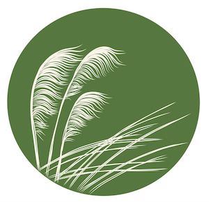 Jo Luping Design - Toetoe Ivory on Green 10cm - Round Coaster