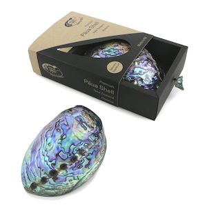 Paua Gems: Premium Paua Shell Gift Box