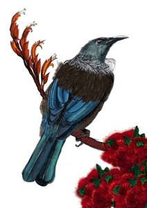 Greeting Cards: A6 Tui2 greeting card