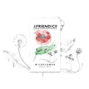 Gifts 30: Bee Friendly Wildflower Seeds