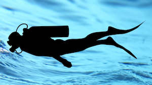 Atlantis Spring fin strap