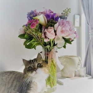 Archive - Iain Stephens Floral Designs
