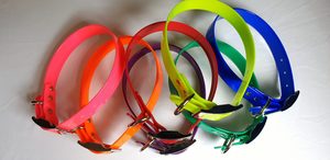 SunGlo 1″ Regular Collars