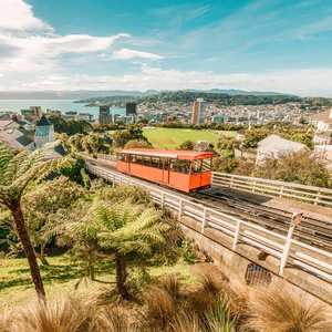 Wellington