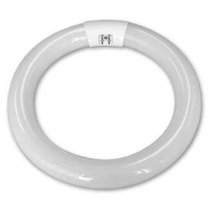 Circline: LAMP: G10Q T9 CIRCLINE 22W Daylight