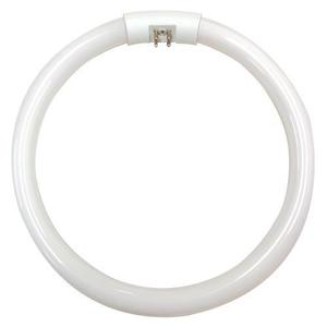 Circline: LAMP: 2GX13 T5 CIRCLINE 55W Warmwhite