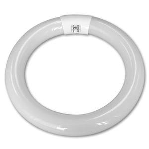 Circline: LAMP: G10Q T9 CIRCLINE 32W BLACKLIGHT WHITE 210mm