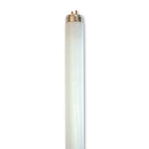Fluorescent: T8 16W Coolwhite ENERGY SAVER