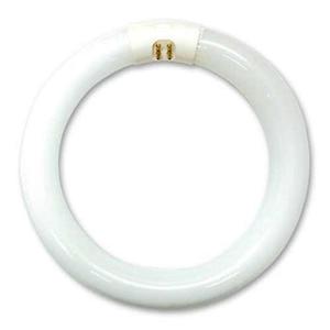 LAMP: G10Q T10 32W CIRCLINE Daylight/6500k