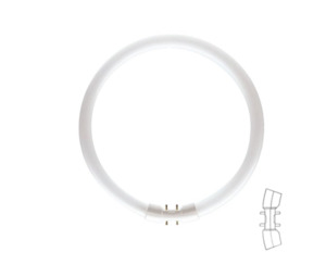 LAMP: 2GX13 T5 CIRCLINE 55W Warmwhite