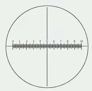 Reticule for 10X Eyepiece - Measuring scale for microscope eyepiece