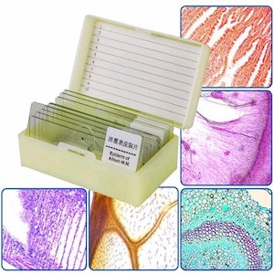 10pcs Microscope Slide Kit