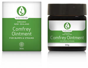 External Pain Relief: Kiwi Herb Comfrey Bruise Ointment 28Gm