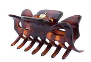 Hair Accessories Bobby Pins Clips And Slides: Mae 40-2401S C/Grip Shell Sm - Compact and Durable Shell for Small Items