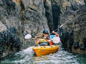 Products: Akaroa Kayaks – NZ Outdoor Guides