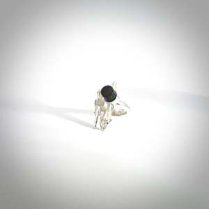 Ana Krakosky: GATEKEEPER