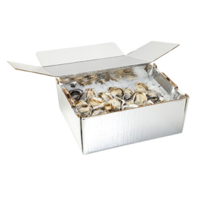 Oyster 2T, Chilltainer, 410mm x 335mm x 125mm