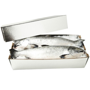 Hog Fish, Chilltainer, 740mm x 272mm x 200mm, Lid Only