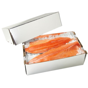 Salmon, Chilltainer, 680mm x 335mm x 160mm, Base Only