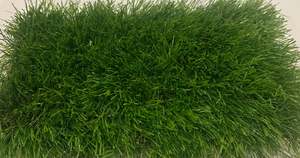 Artificial Grass: Artificial Grass 40mm high density
