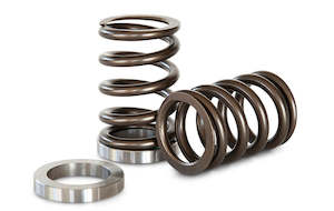 Rb20 Rb25: Kelford Cams Nissan RB25DET NVCS Race Spring Set - KVS25R