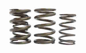 Kelford Cams KELFORD PACALOY RACE SPRING (SR16/20VE) - KVS10