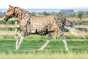 NZ Tack Giraffe Mesh Fly Combo