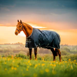 Mid Season No Fill 50g: Amigo Ripstop 900D Turnout Fleece Lined Standard Neck