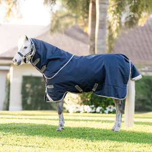 Mid Season No Fill 50g: Amigo 1200D Plus Pony Turnout Detach-A-Neck