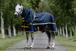 Cavallino Northampton Detacha-Neck