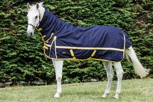 Cavallino Northampton Combo 1200D Navy