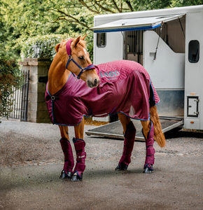 Fleece: Rambo Travel Series Fleece Rug