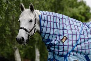 Best Selling: Flair Wanaka Neck Rug