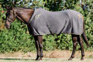 Best Selling: Cavallino Fleece Show Rug