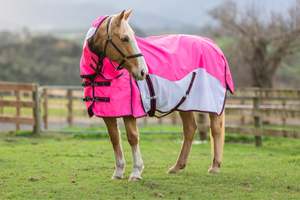NZ Tack WaterProof Mesh CrossOver Combo Pink