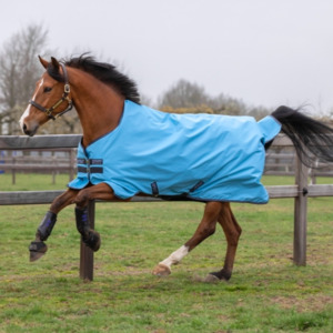 0g: Amigo Hero 900D Turnout Lite Rug