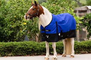 NZ Tack Duke 1200D Standard Neck