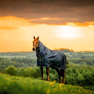 Amigo Ripstop 900D Plus Pony Turnout Detach-A-Neck