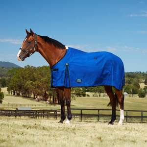 Best Selling All And Covers Auto: Weatherbeeta 20oz Canvas Standard Neck