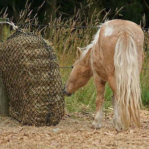 Calm Healthy Horses Hay Savers Haynet